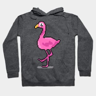 Flamboyant Flamingo Hoodie